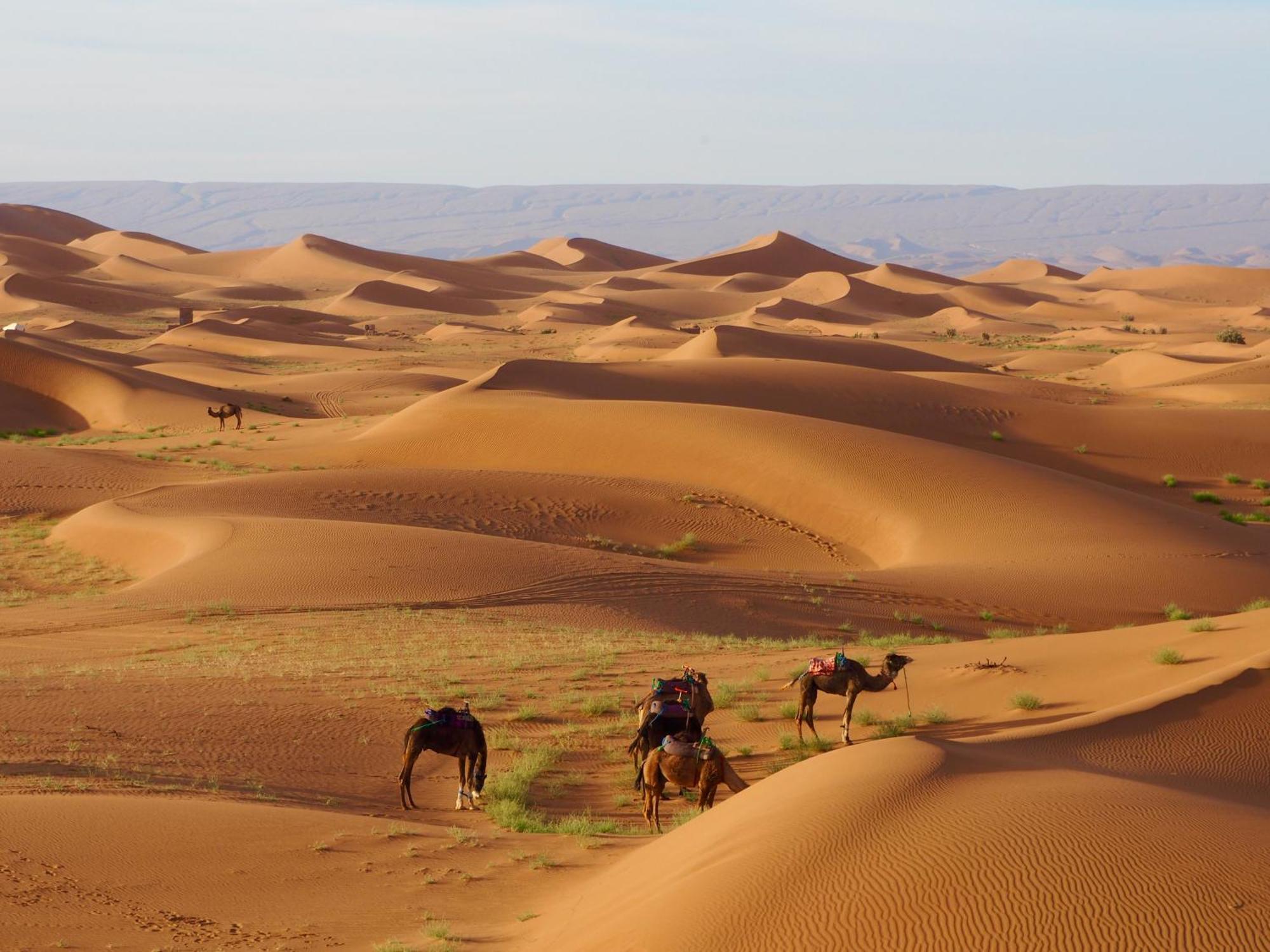 Desert Bivouac Mhamid マハミド エクステリア 写真